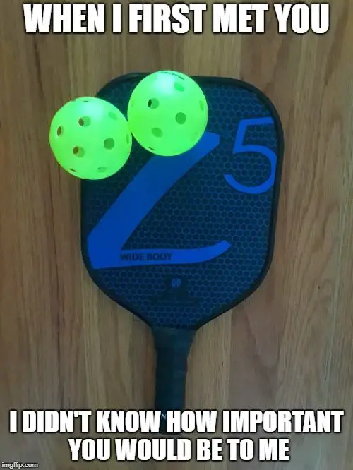 9 Funny Pickleball Shirts That Will Make You The Life Of The Court Pickleball Fire