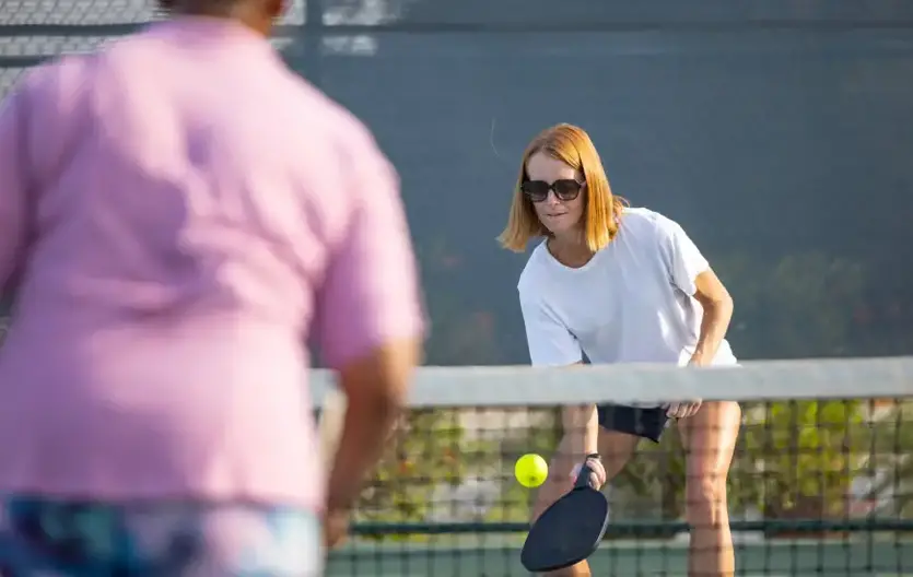 Pickleball Dink: Ultimate Guide to Techniques, Strategies, & Drills for Success